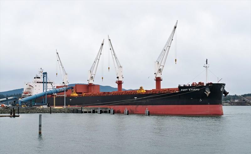 PORT KYUSHU (Bulk Carrier) -  IMO:9838539 | Ship