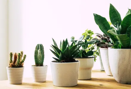 article Note DPE : Comment améliorer son DPE avant une vente