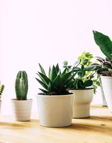 article Note DPE : Comment améliorer son DPE avant une vente