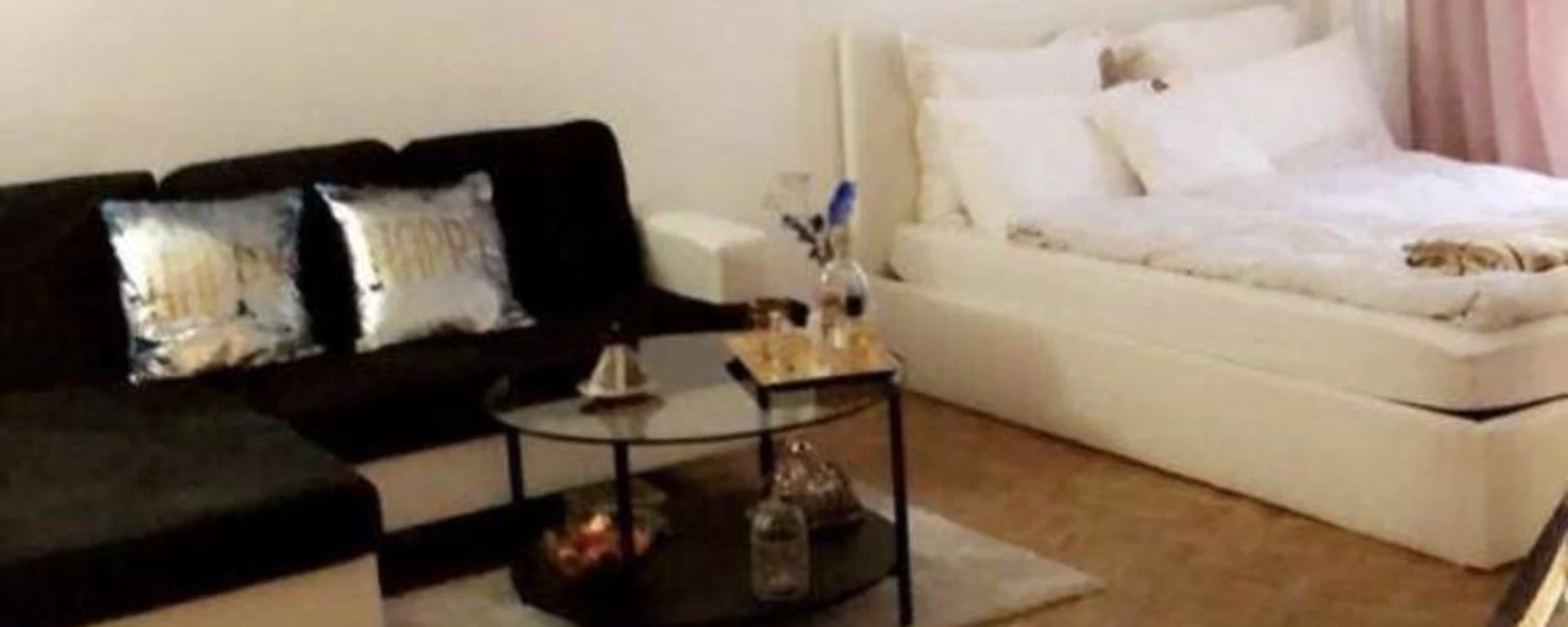 Appartement de 27.39 m² à Paris