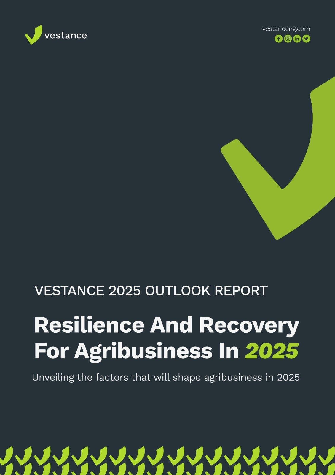 Cover image for 2025 Outlook Report by Vestance