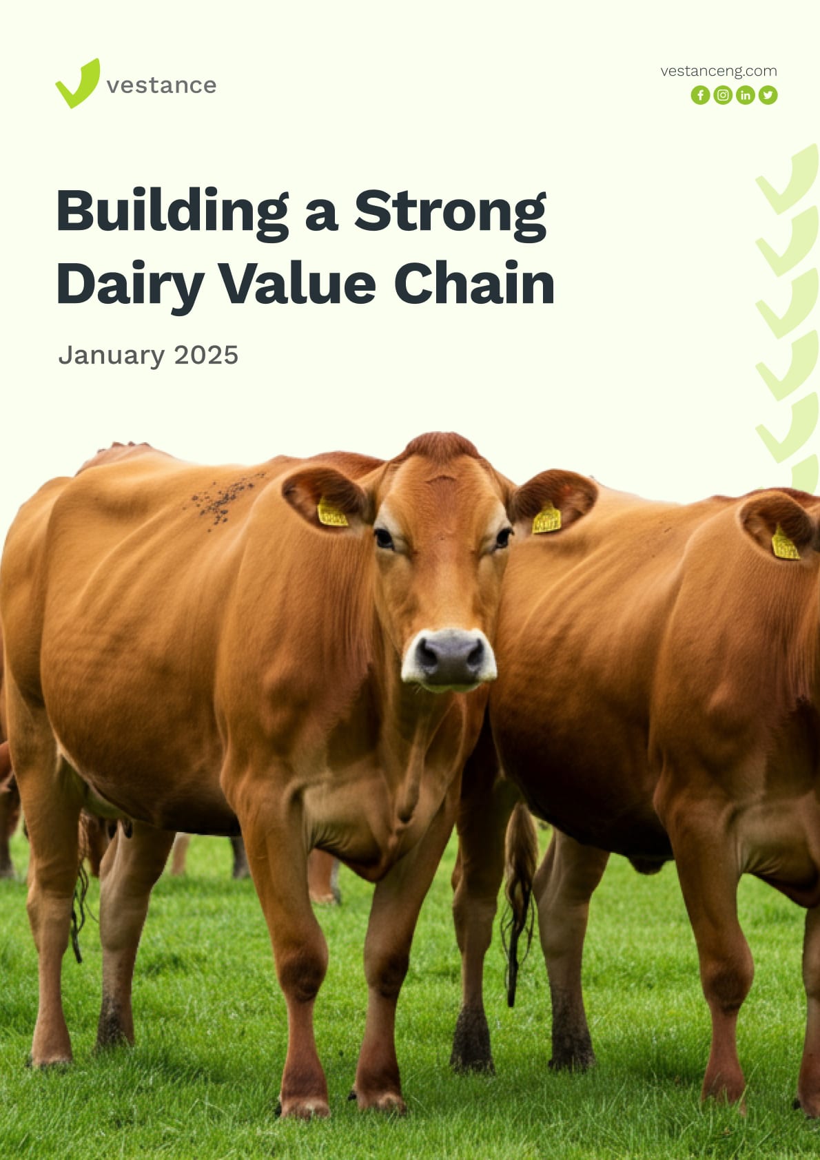 Cover image for the Nigeria Dairy Value Chain Report
