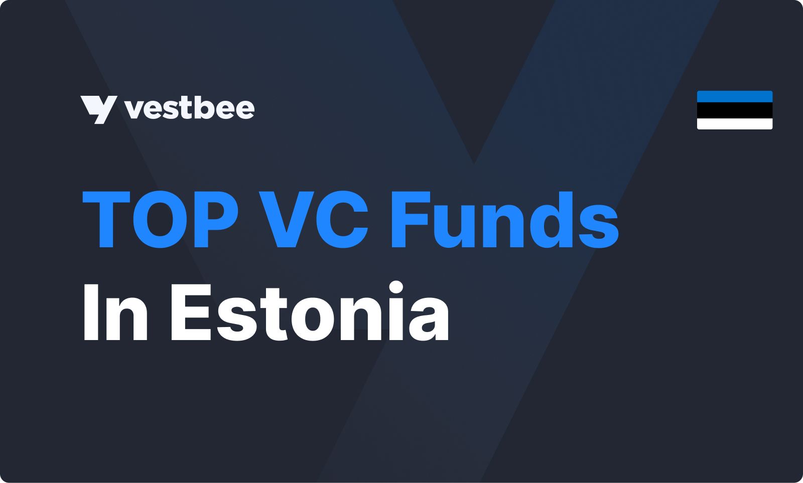 Top VC Funds in Estonia To Finance Your Startup | Vestbee