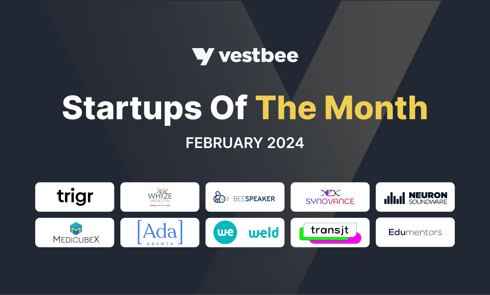Startups Of The Month — February 2024 | Vestbee