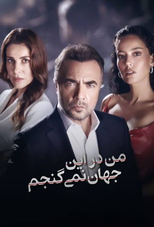 من در این جهان نمی گنجم