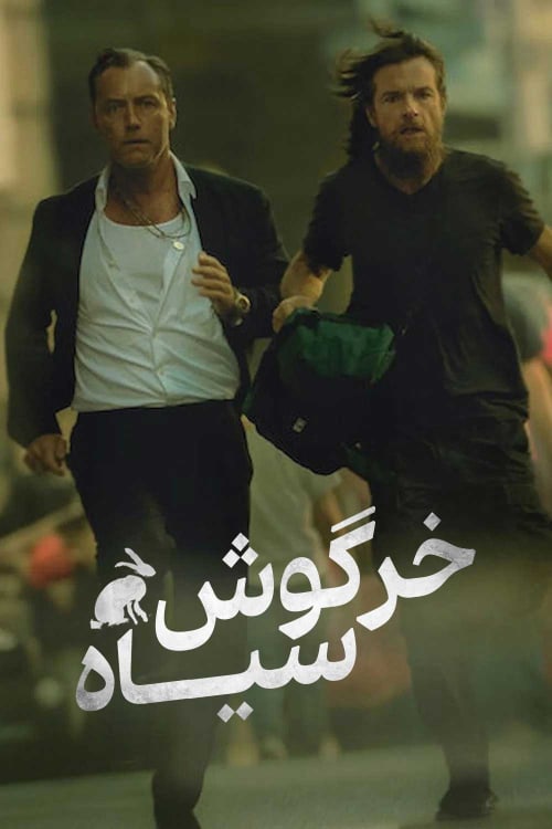 خرگوش سیاه