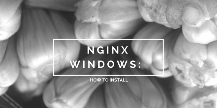 Nginx Windows: How to Install