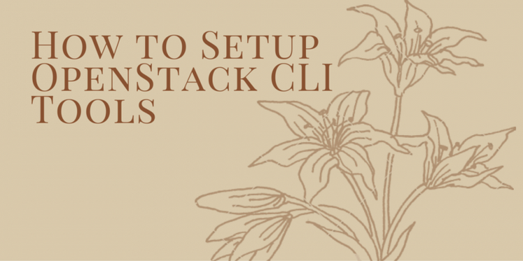 How to Setup OpenStack CLI Tools