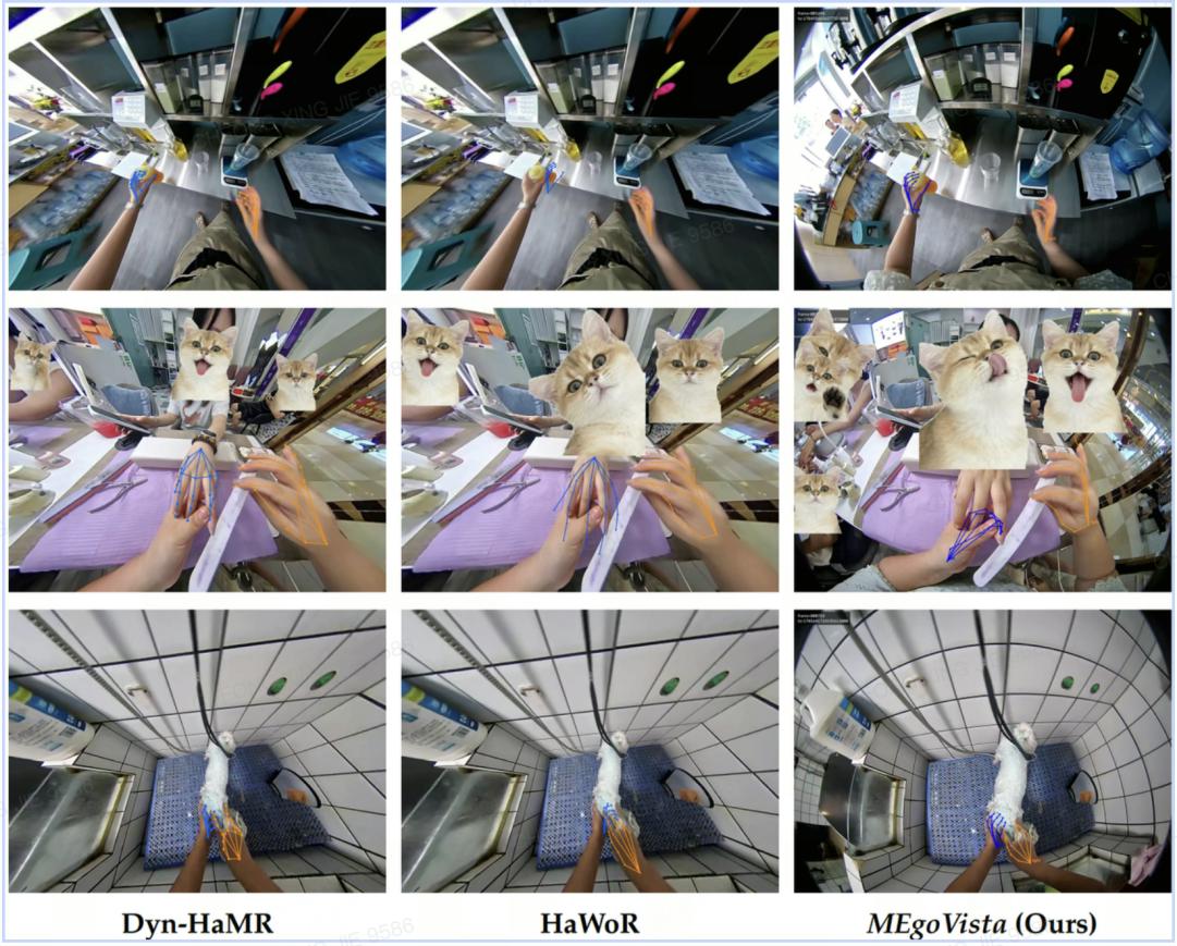 megovista The visual comparisons