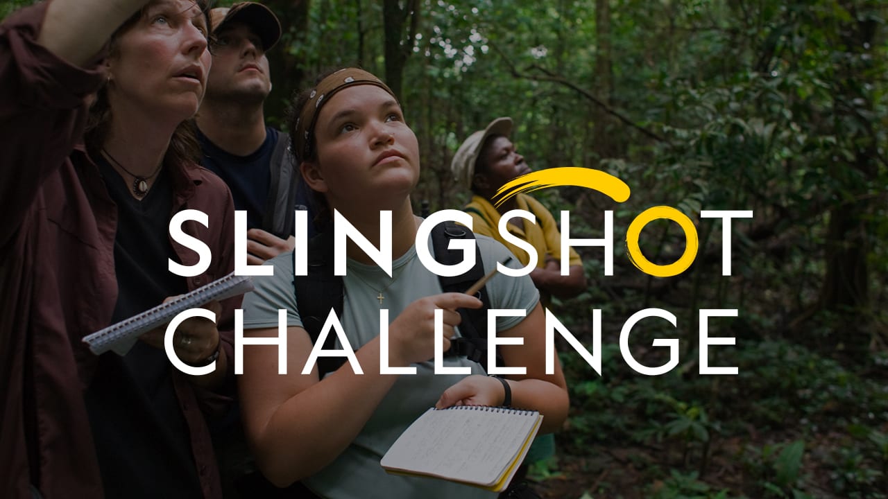 Ұялы телефоныңызда әйел оргазмын көріңіз