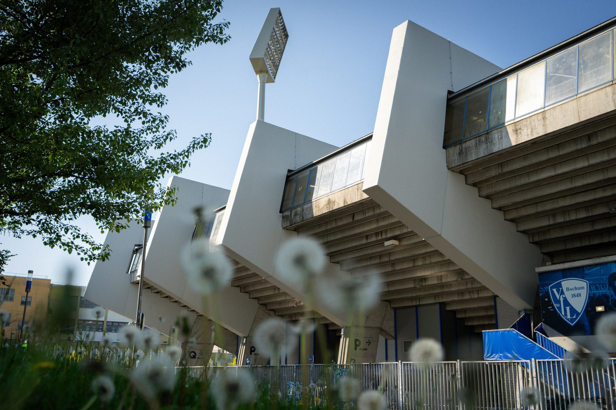 Stadion mit Pusteblumen im Vordergrund