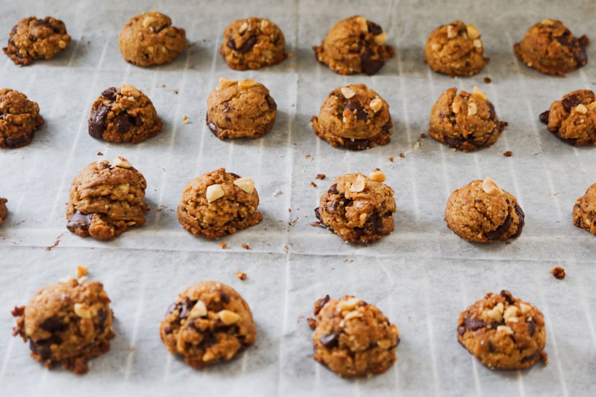 a tray of baked chocolate chip cookies