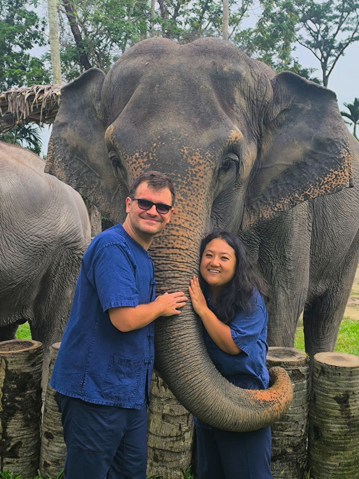 A happy visitor safely interacting and bonding up-close with a gentle elephant at Trunk & Soul, an ethical no-riding elephant home in Phuket.