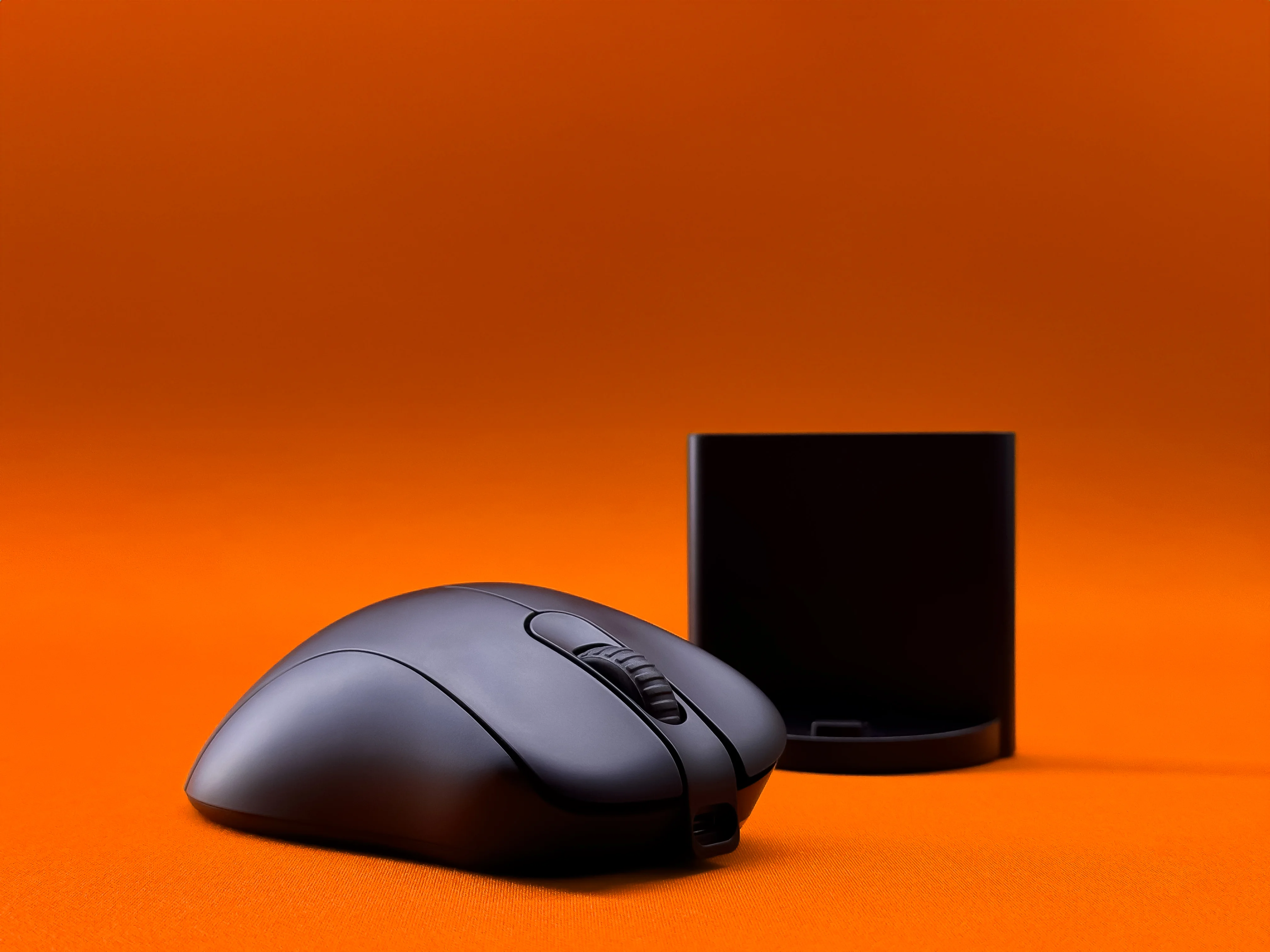 Zowie EC2-C Ergonomic Wired Gaming Mouse
