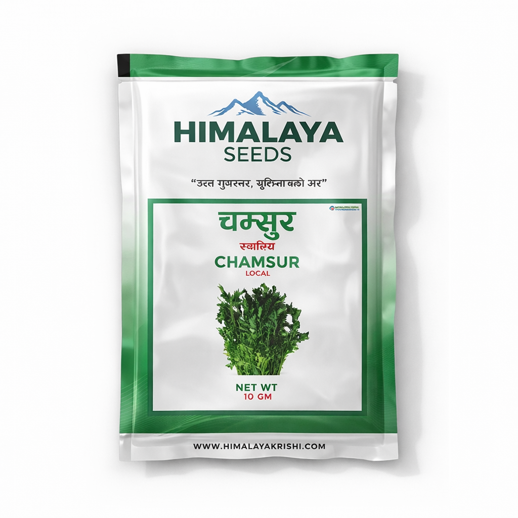 Cress (चम्सुर )