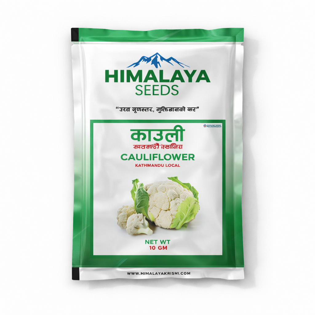 Cauliflower (काउली)