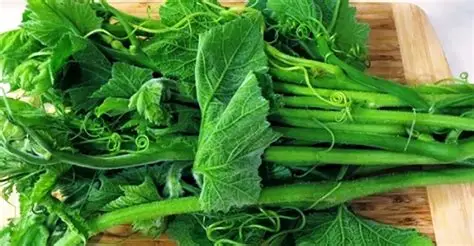 Pumpkin Shoots