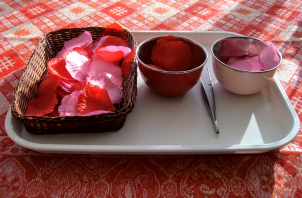 Transferring & sorting rose petals using tweezers