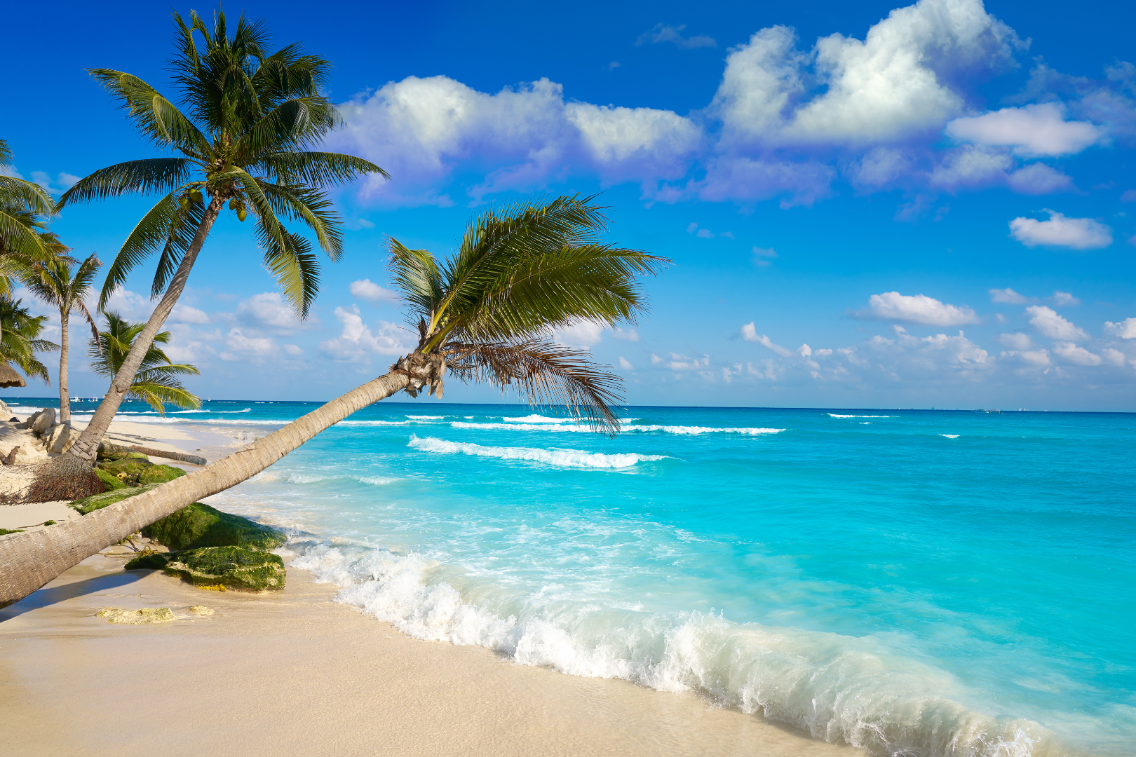 PLAYA DEL CARMEN & COSTA MUJERES image