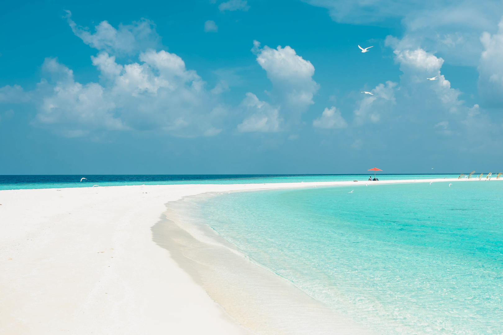 Miami & Bahamas 2026 image