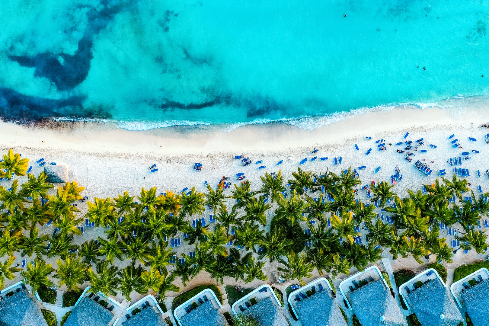 BAYAHIBE & PUNTA CANA  image