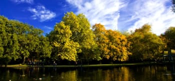 St. Stephen’s Green