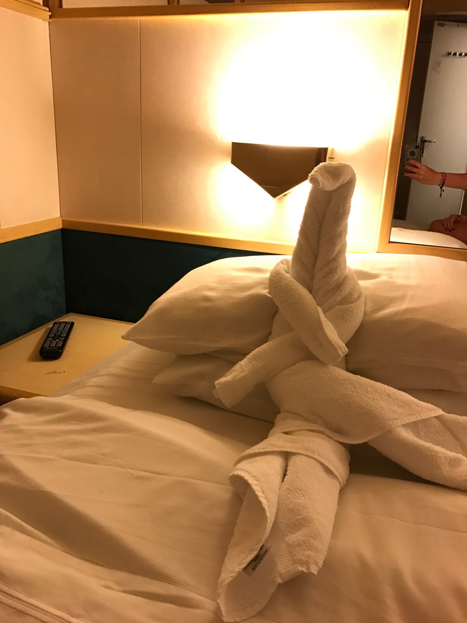 Foca in cabina Royal Caribbean