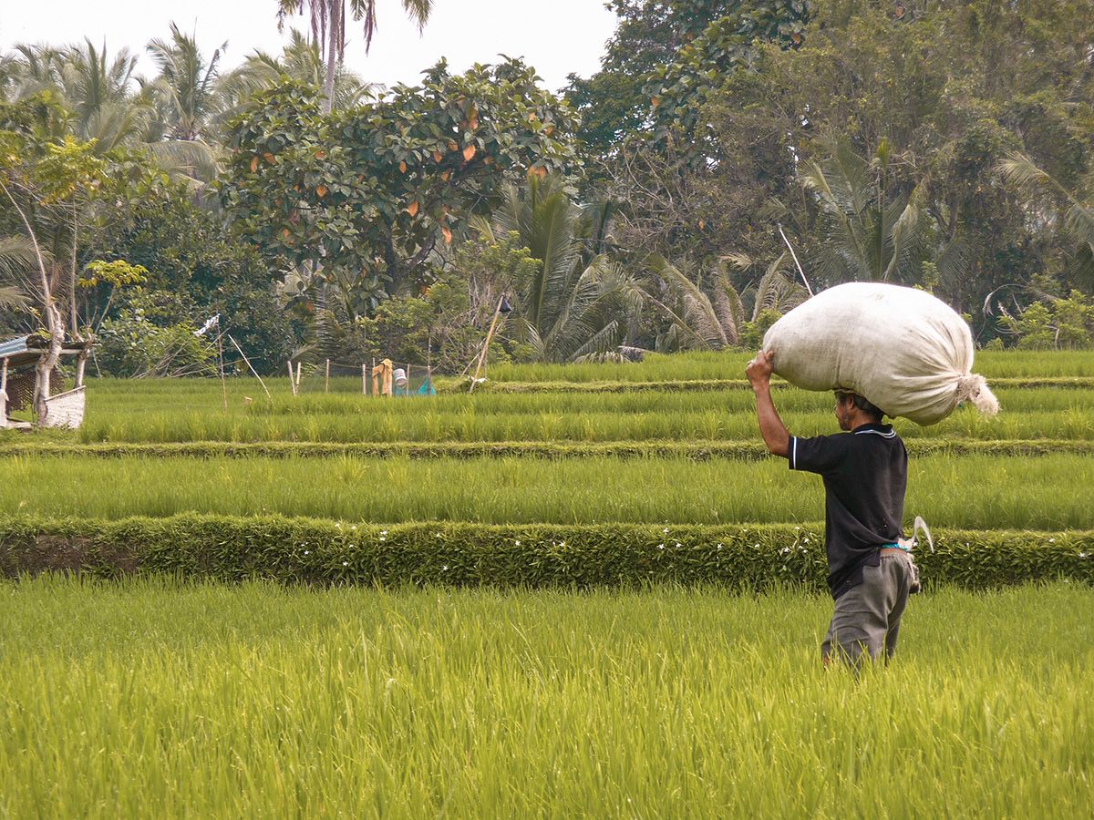 Viaggio in Indonesia – La mia storia