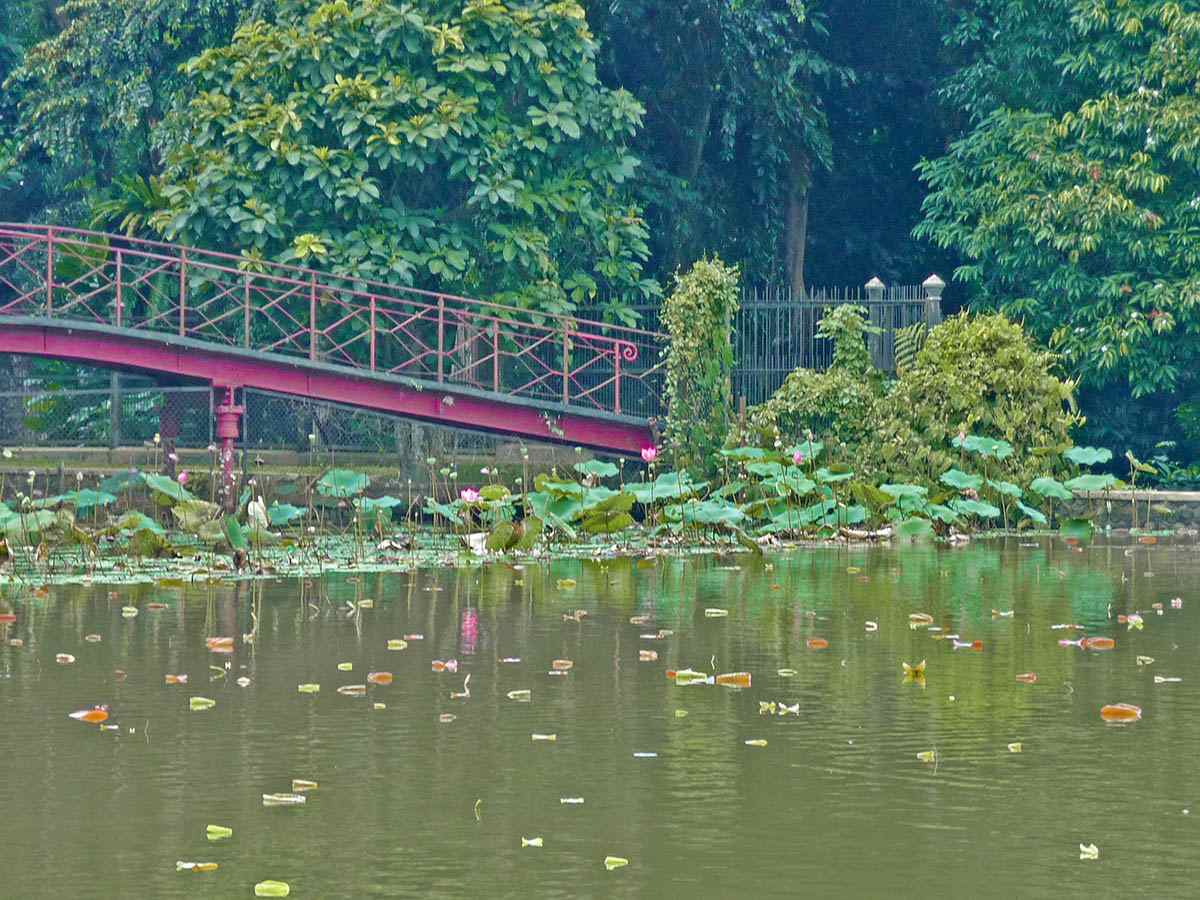 Isola di Java, i giardini botanici di Bogor.