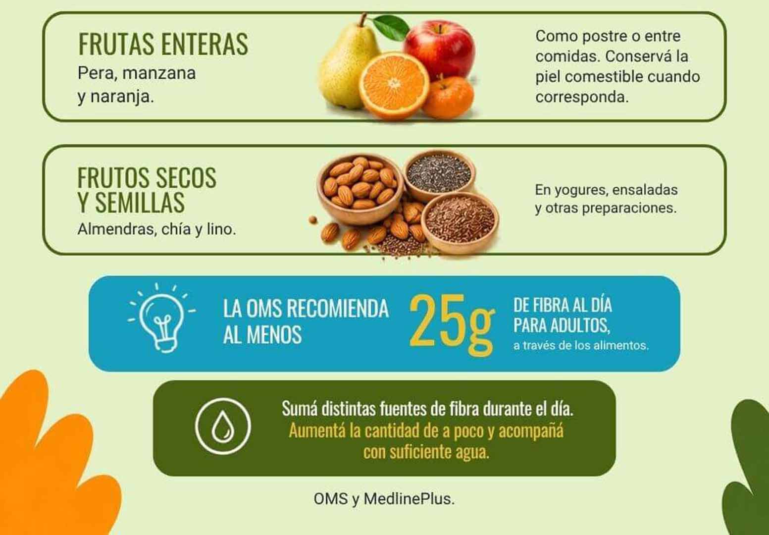 Infografía sobre platos con alto contenido de fibra