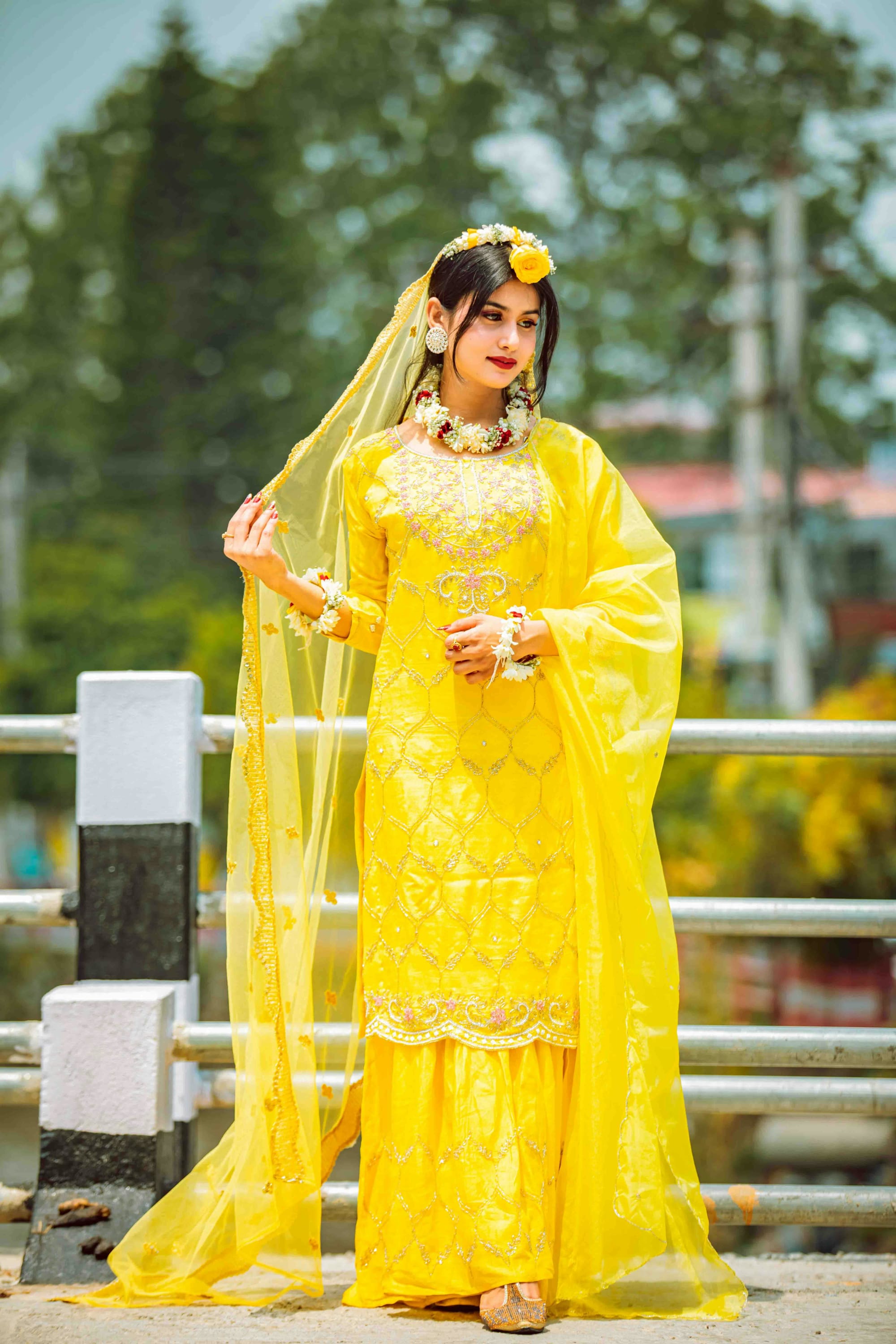 Wedding - Mehndi-Mayo