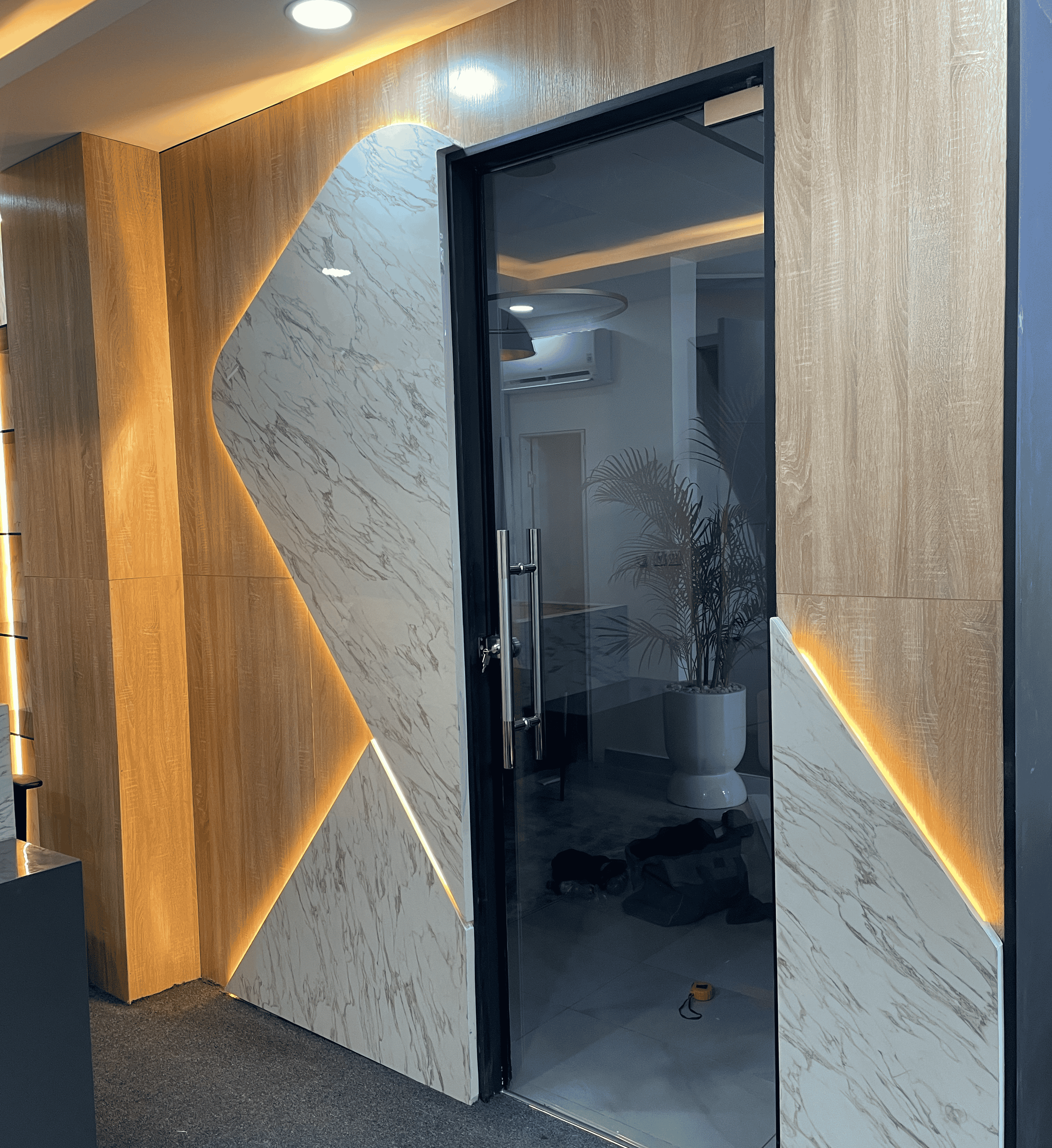 Project P Image