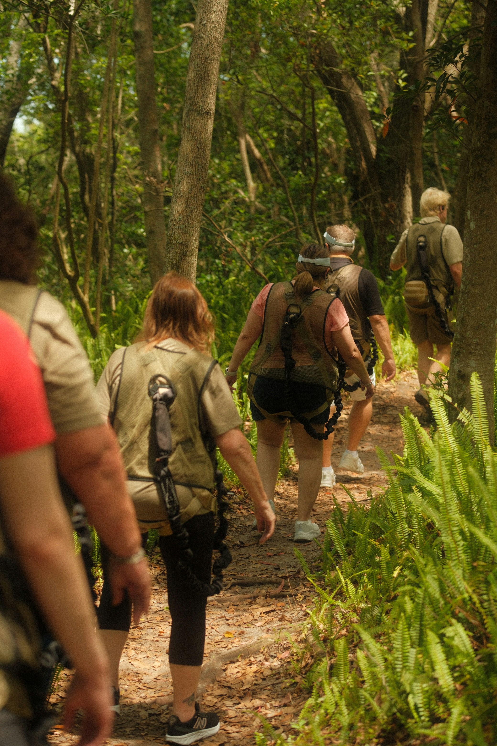 Armed ranger leading a small group on a guided bush walk