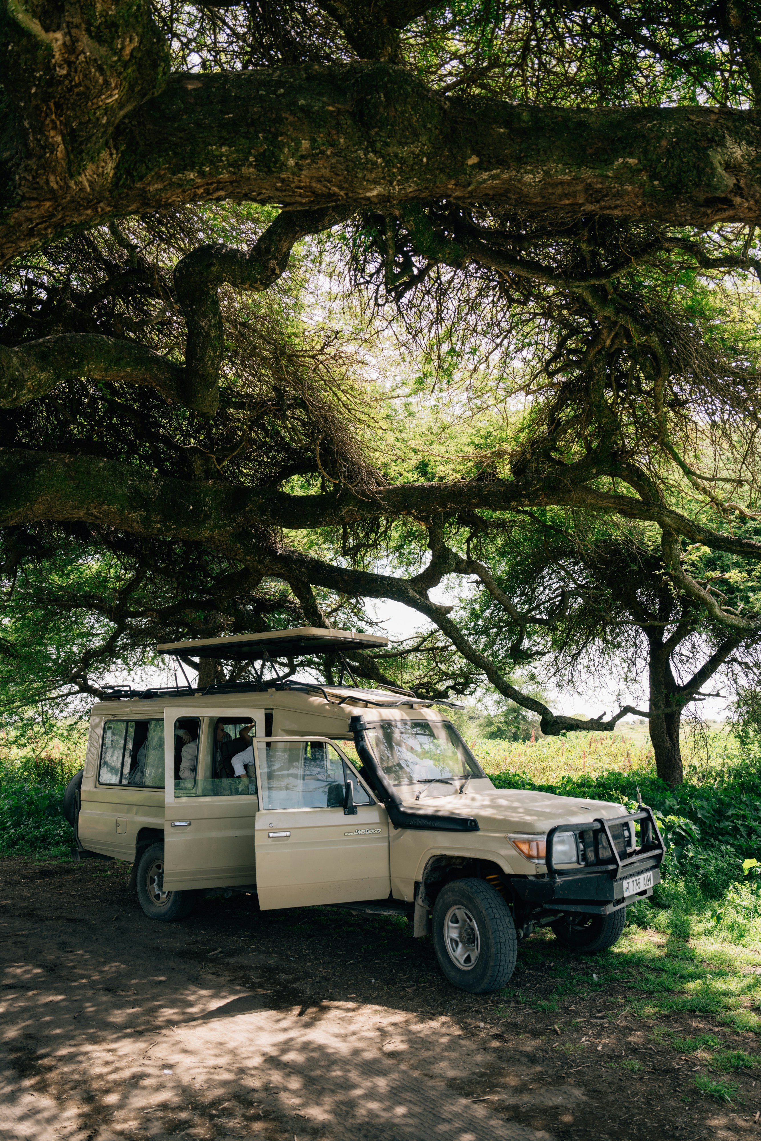 Panoramic view of Safari Camp Lodge and surrounding reserve