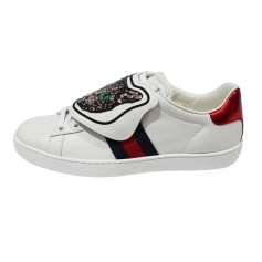 Sneakers Gucci  