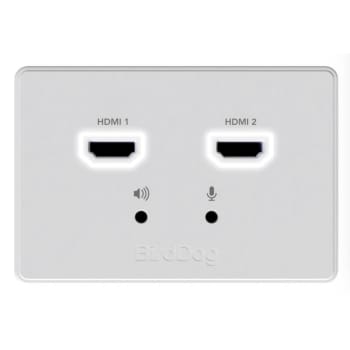 BirdDog BDWPOUT Wallplate Dual Output NDI to HDMI Converter