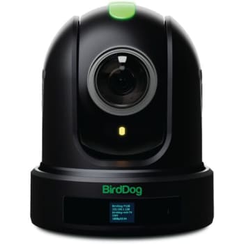 BirdDog BDP110B 1080P Full NDI PTZ Kamera 10x Zoom svart