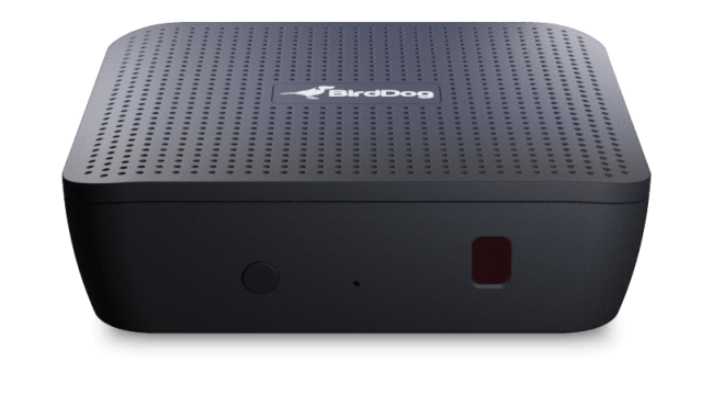 BirdDog PLAY 4K NDI Player med HDMI ut