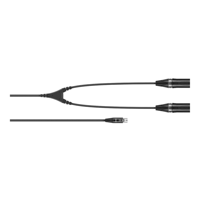 Sennheiser CA 6042 XLR kabel miniXLR 5pin female til 2x XLR 3-pin male