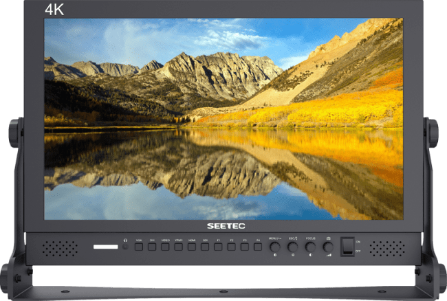 Seetec Monitor P173-9HSD 17.3