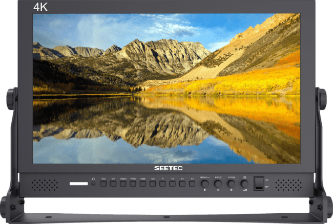 Seetec Monitor P173-9Hsd 17.3