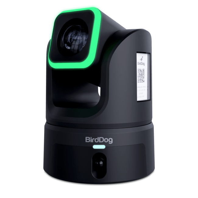 BirdDog XL Ultra Storsensor PTZ Kamera