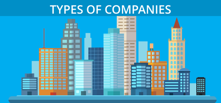 Types of Companies Types of Companies