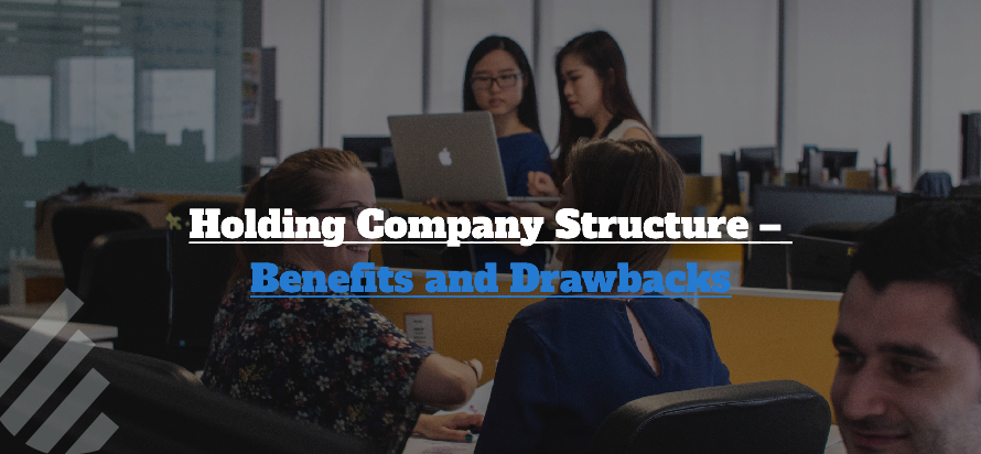 Holding Company Structure – Benefits and Drawbacks 