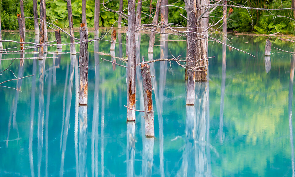 The Blue Pond Image2