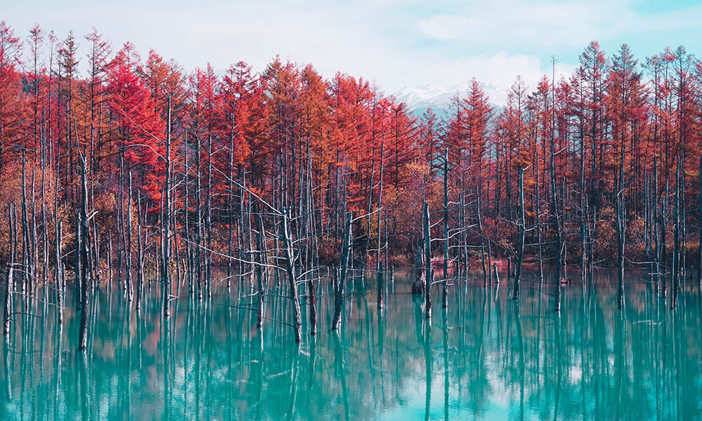 The Blue Pond Image1