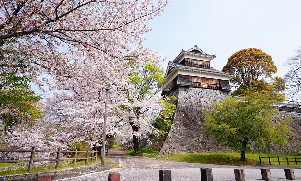 Kumamoto Castle Image2