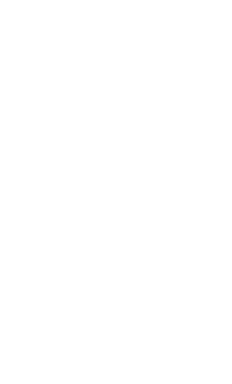 リーフ　右