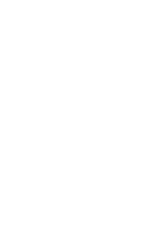 リーフ　左