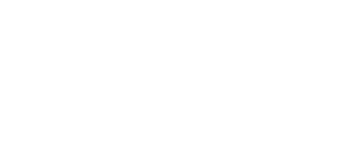 Steer Automotive Group logo